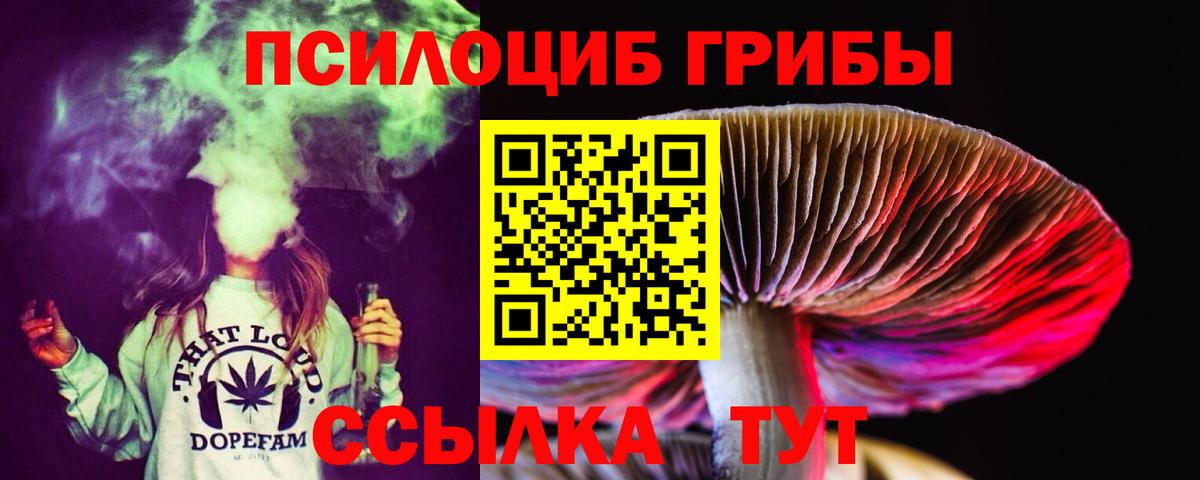 Псилоцибиновые грибы Psilocybe  Галлюциногенные грибы Cubensis  Нижнекамск  Вход с VPN 